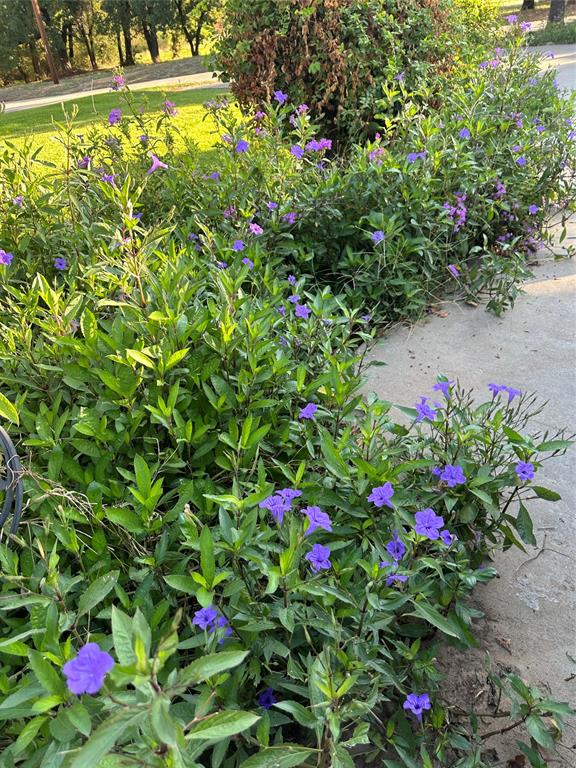 Lakeside Country Club - Residential