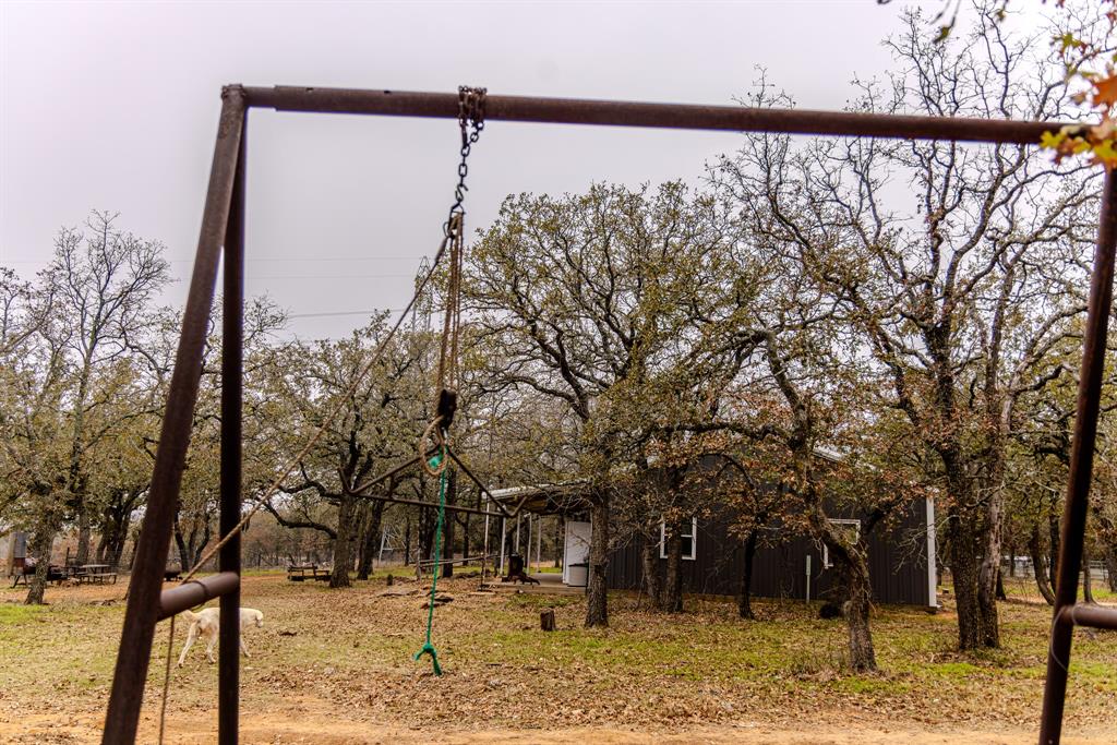 Forest Survey A-177 - Land