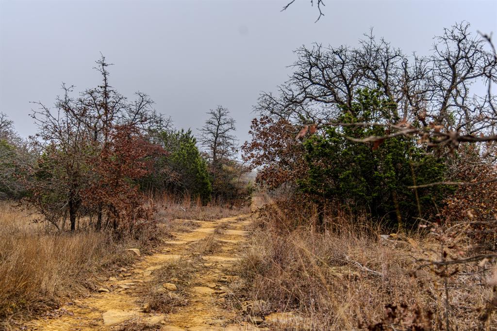 Forest Survey A-177 - Land