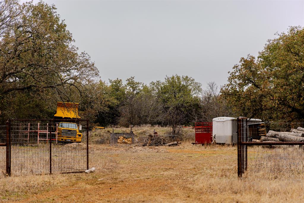 Forest Survey A-177 - Land