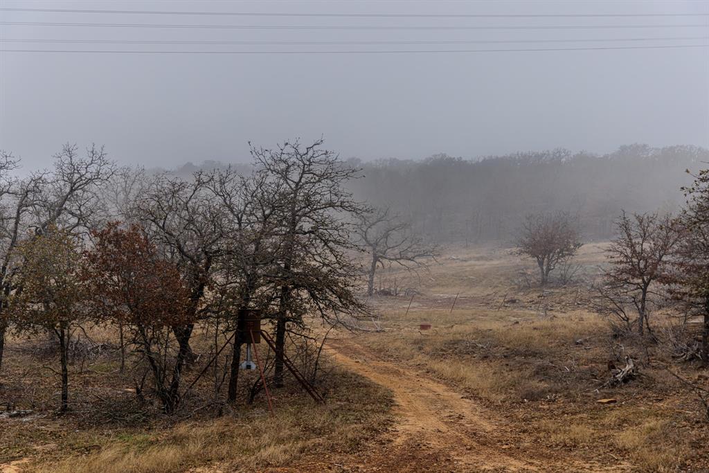 Forest Survey A-177 - Land