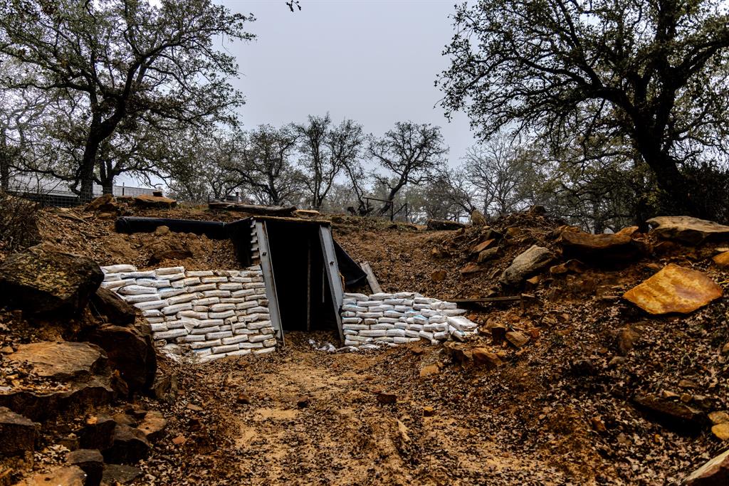 Forest Survey A-177 - Land