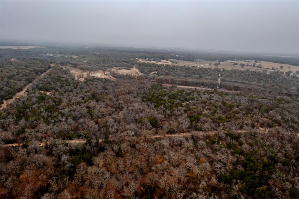 Forest Survey A-177 - Land