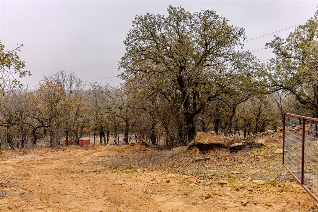 Forest Survey A-177 - Land