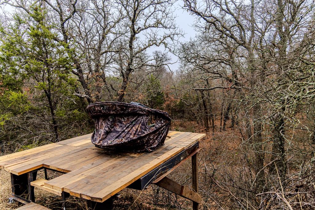 Forest Survey A-177 - Land