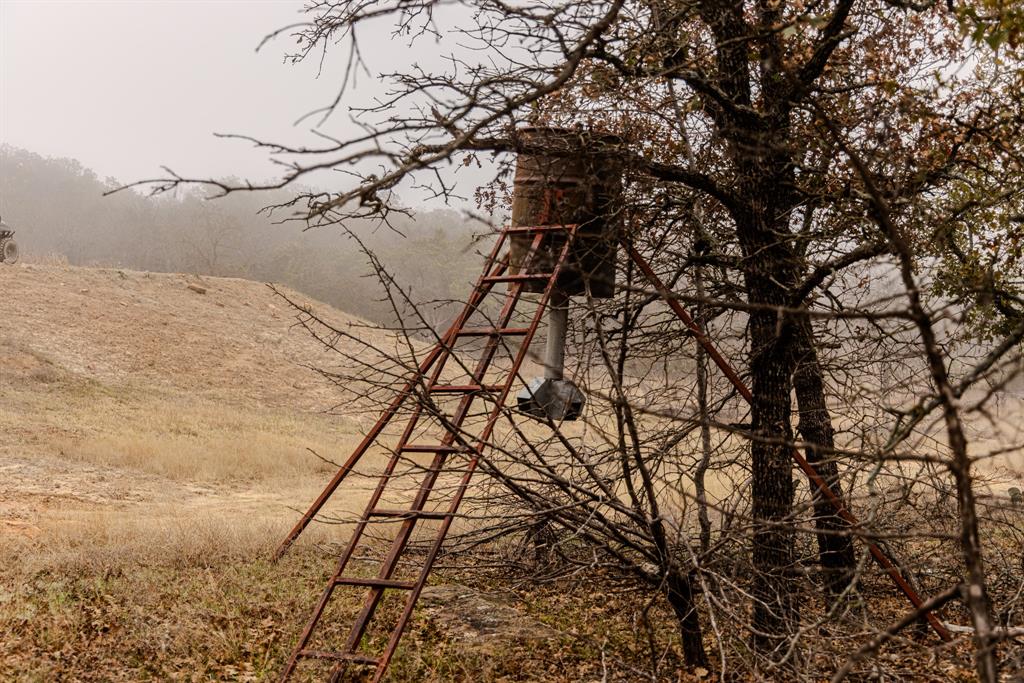 Forest Survey A-177 - Land