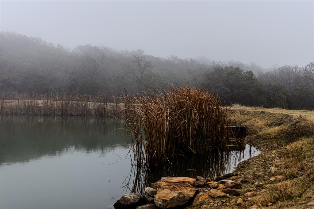 Forest Survey A-177 - Land