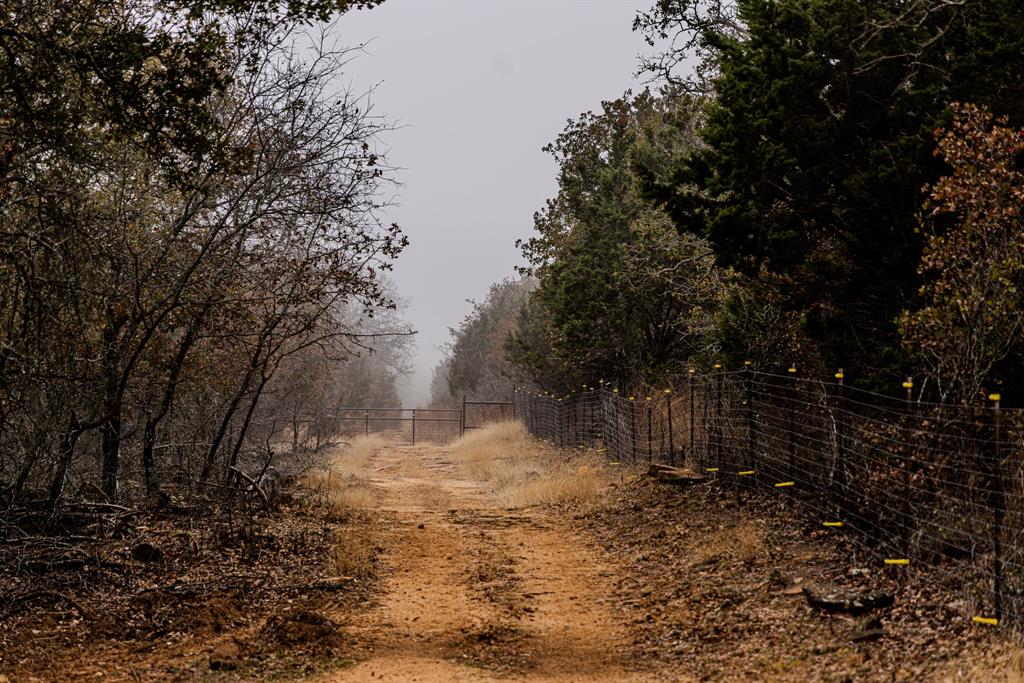 Forest Survey A-177 - Land