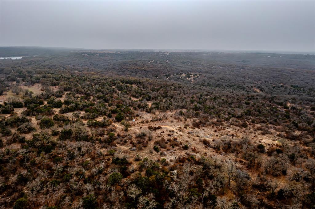 Forest Survey A-177 - Land