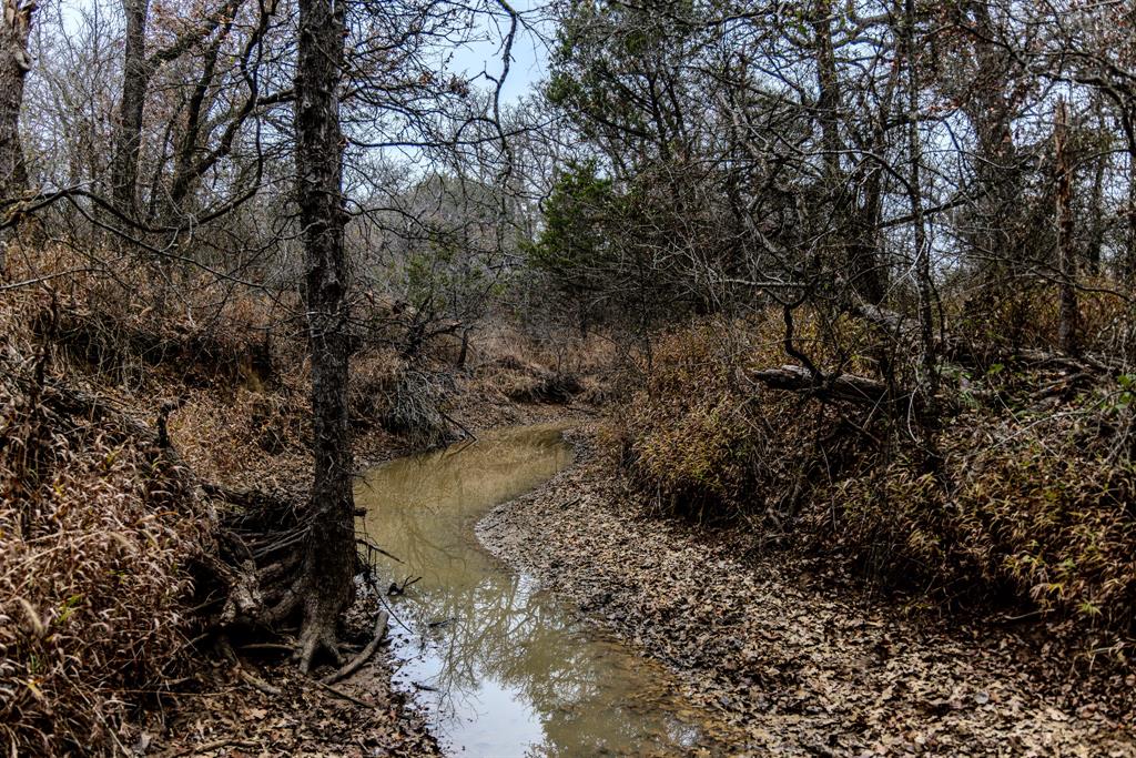 Forest Survey A-177 - Land