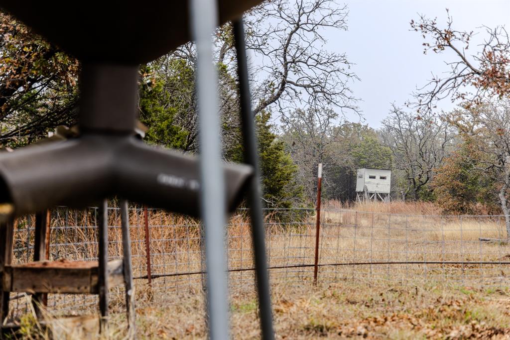 Forest Survey A-177 - Land