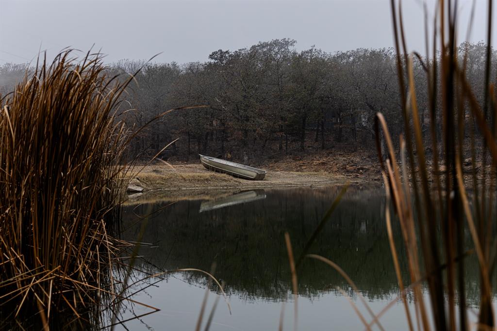 Forest Survey A-177 - Land