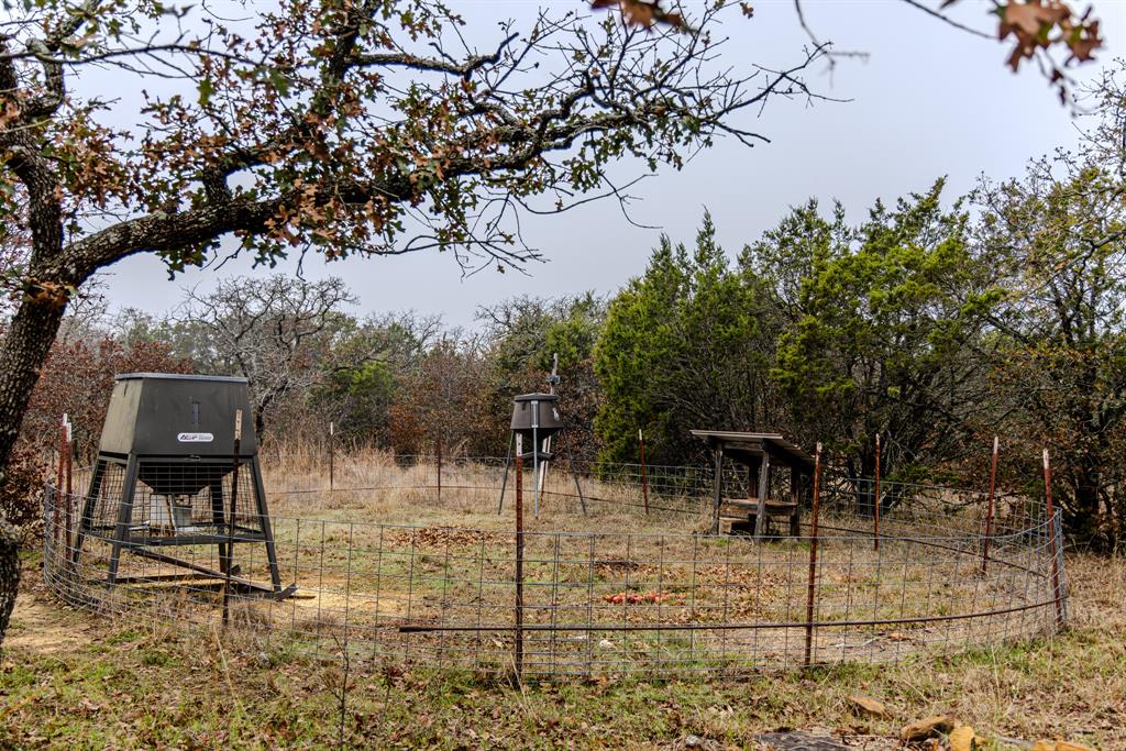 Forest Survey A-177 - Land