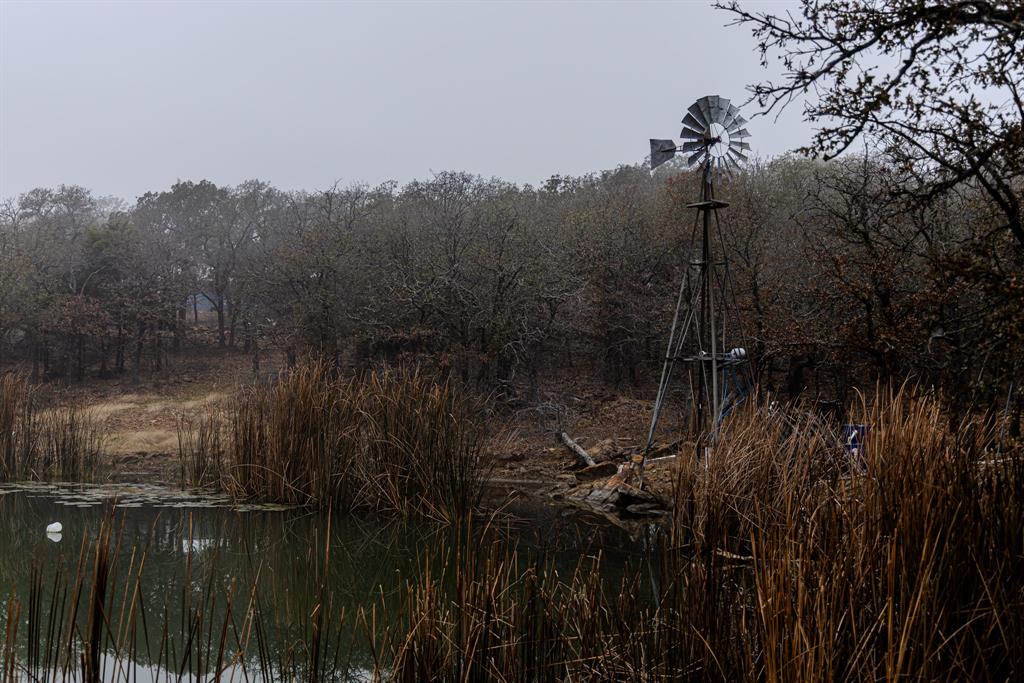 Forest Survey A-177 - Land