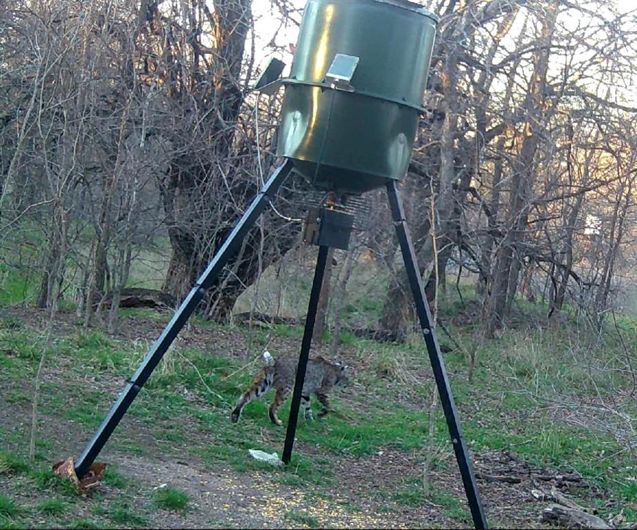 Rock Creek Estates Ph 01 - Residential