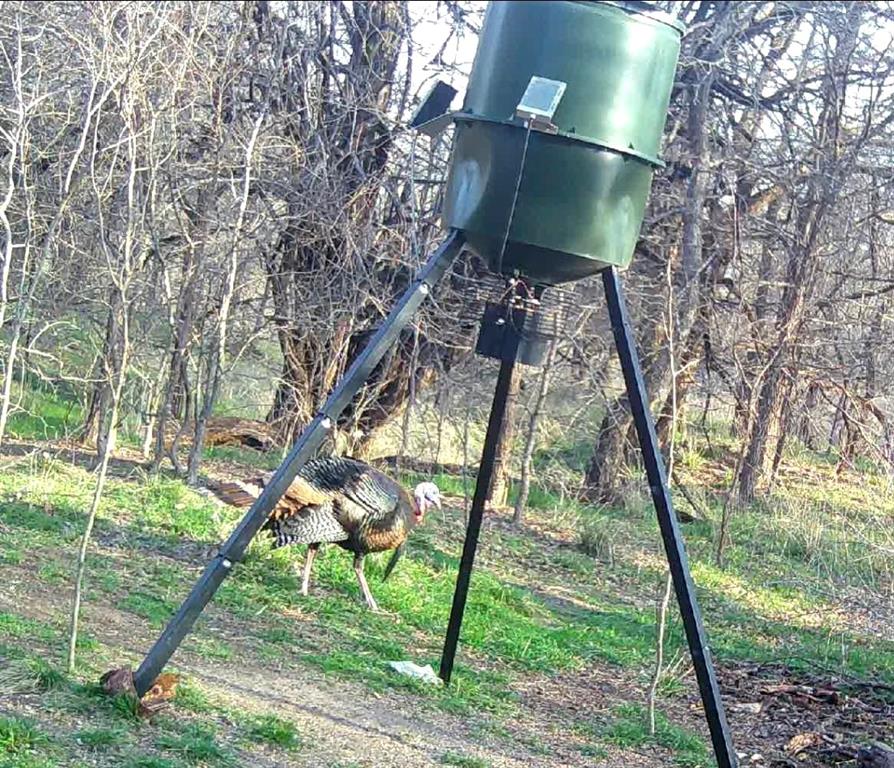 Rock Creek Estates Ph 01 - Residential