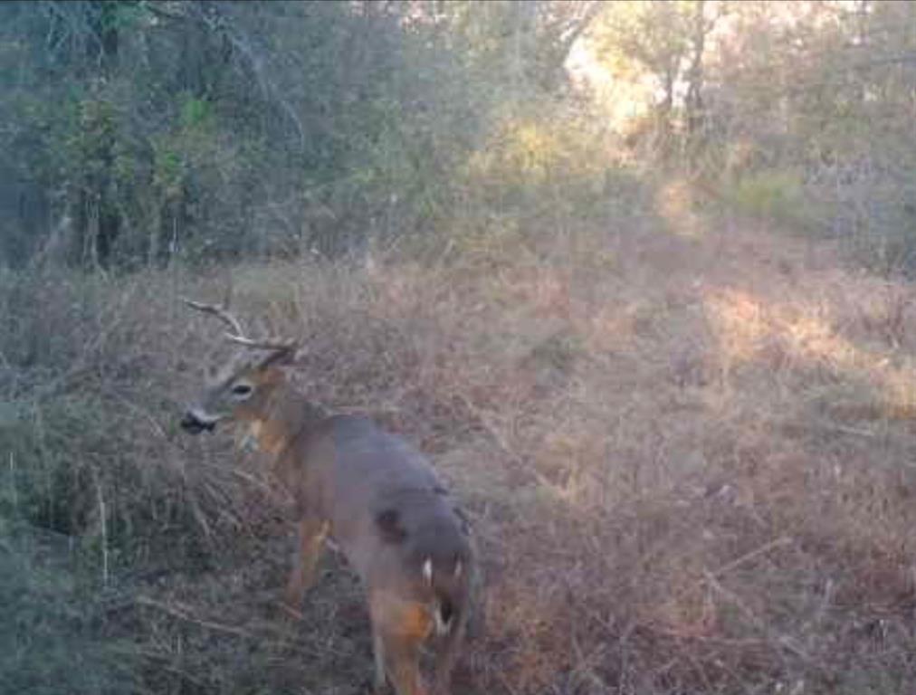 Rock Creek Estates Ph 01 - Residential