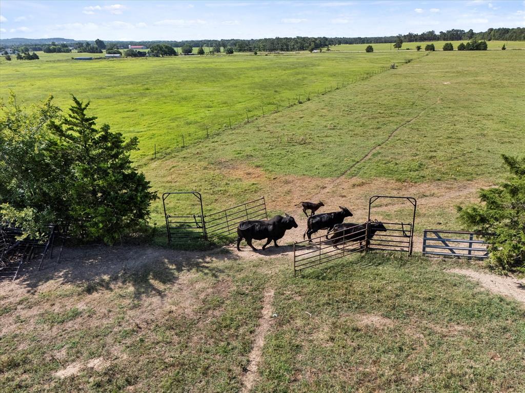 ABST: 61, SUR: E BALL - Land