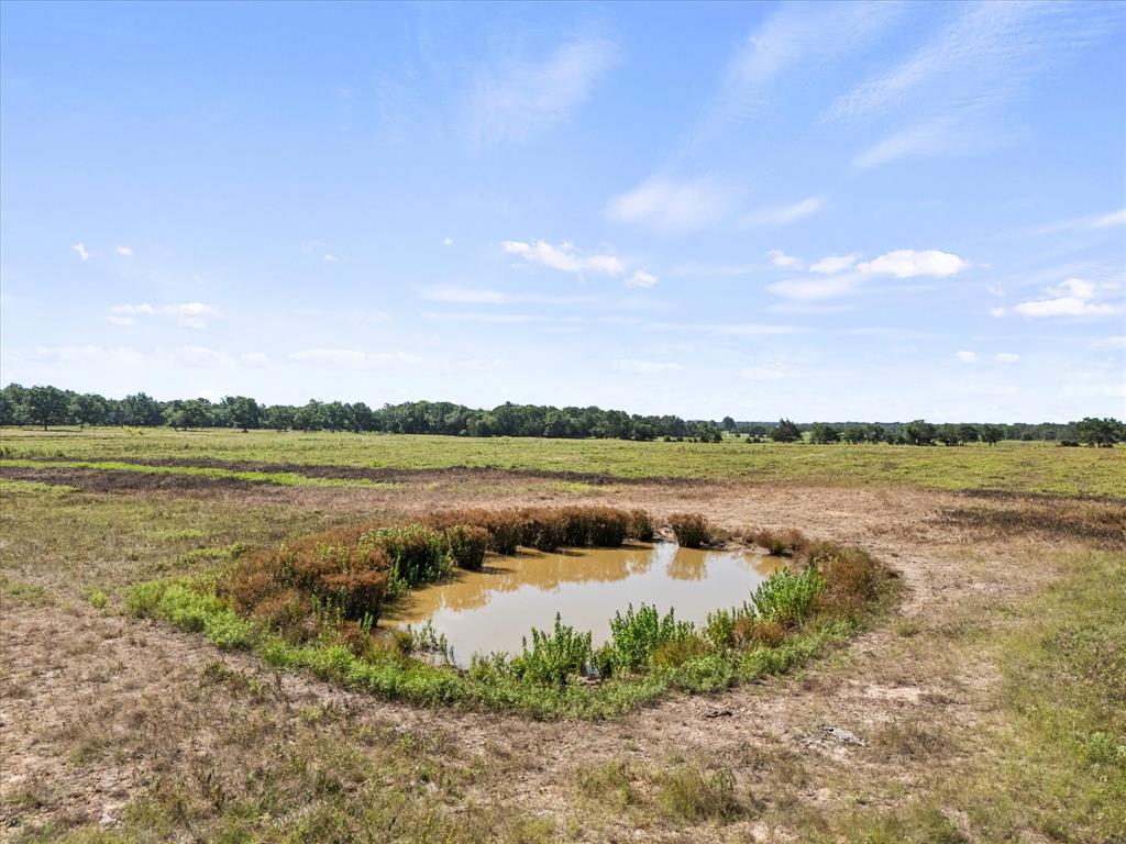 ABST: 61, SUR: E BALL - Land