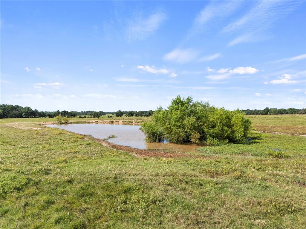 ABST: 61, SUR: E BALL - Land