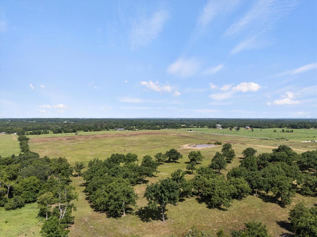 ABST: 61, SUR: E BALL - Land