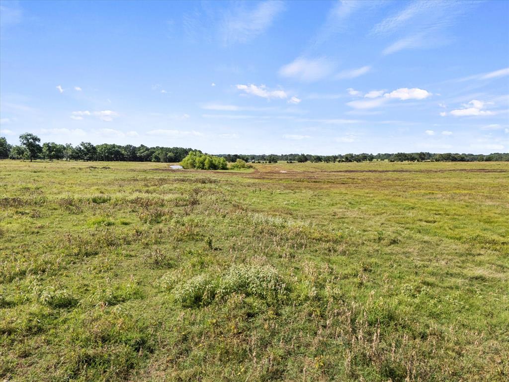 ABST: 61, SUR: E BALL - Land