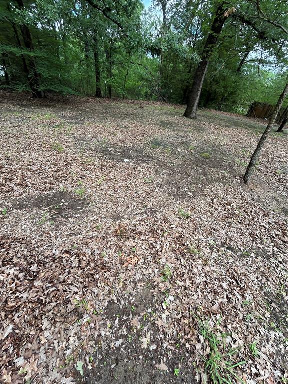 11115 Cedar Drive