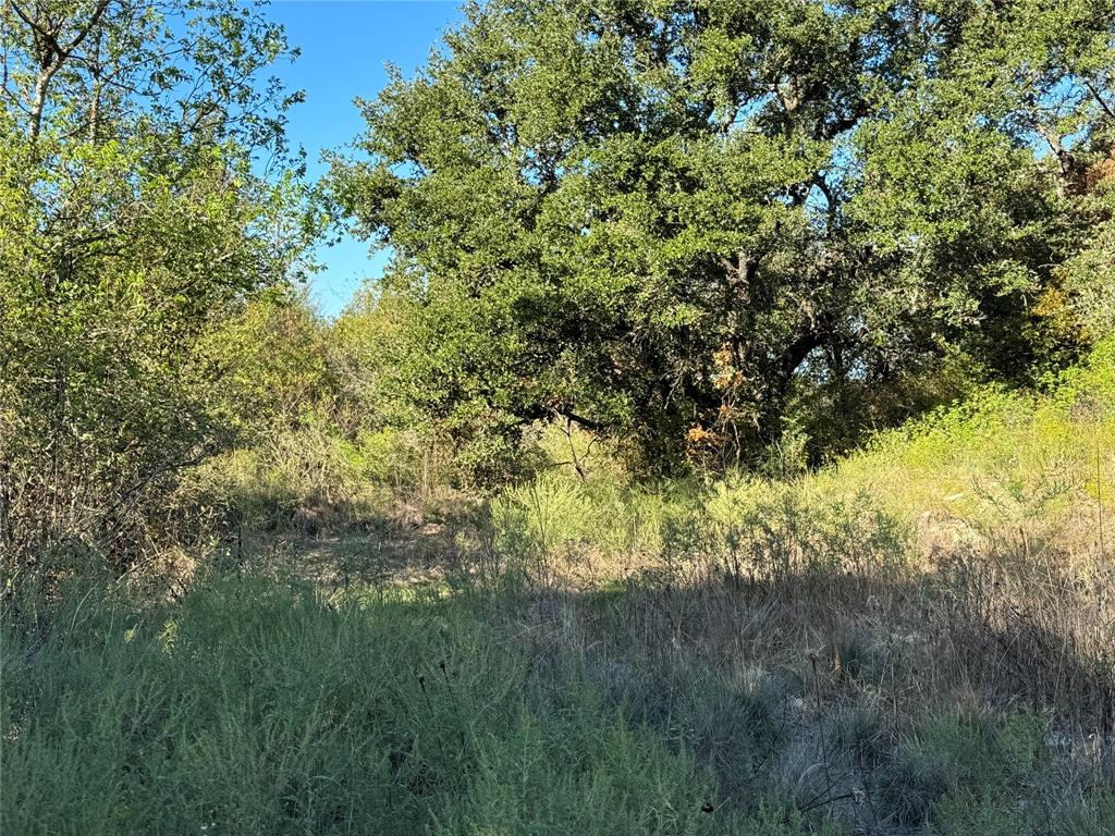 Ranches atDeer Crossinging Sub - Land