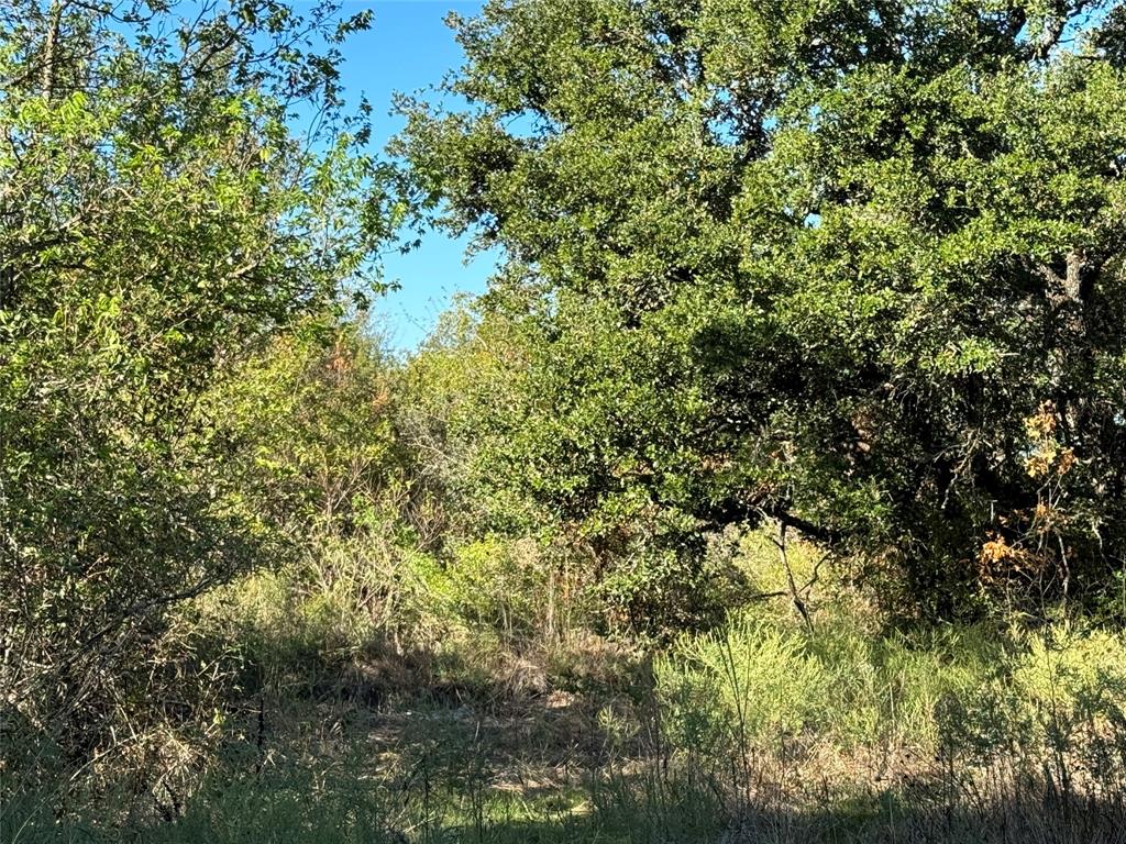 Ranches atDeer Crossinging Sub - Land