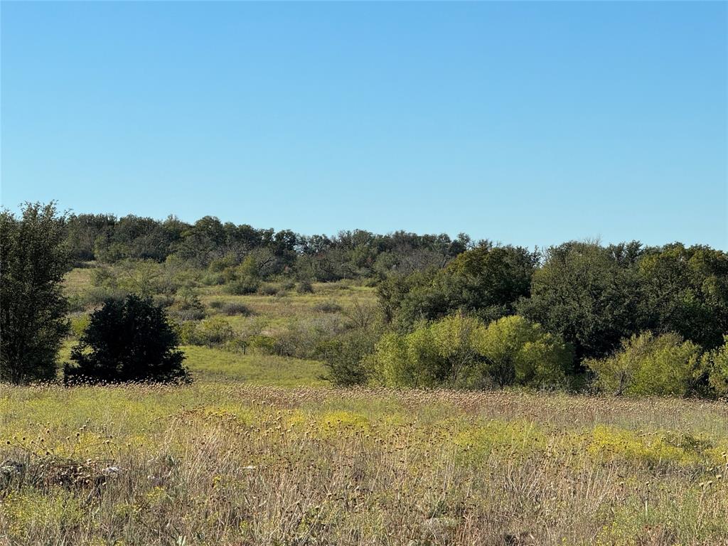 Ranches atDeer Crossinging Sub - Land