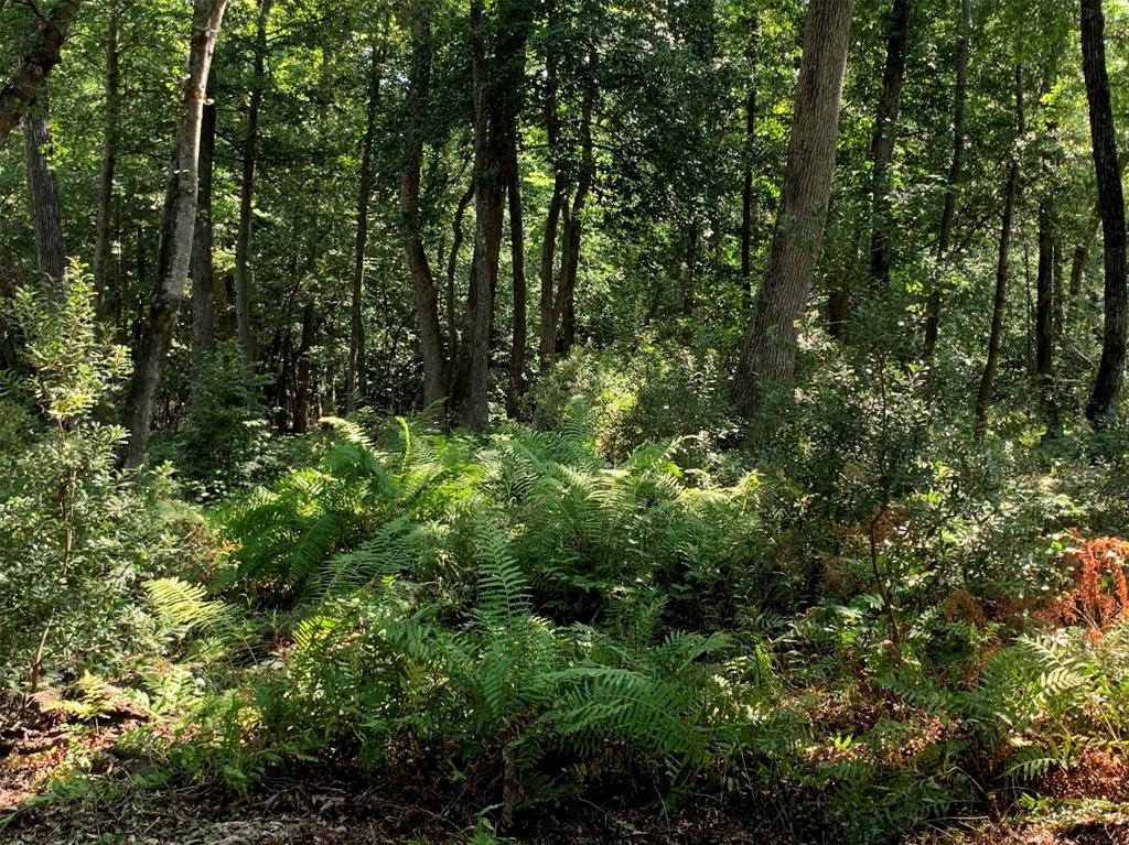 Legacy Shores - Land