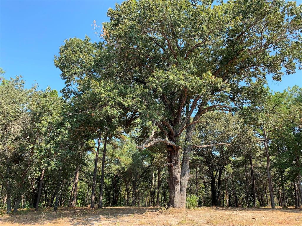 Legacy Shores - Land