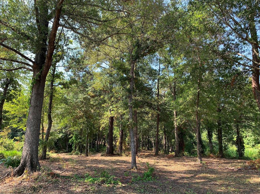 Legacy Shores - Land