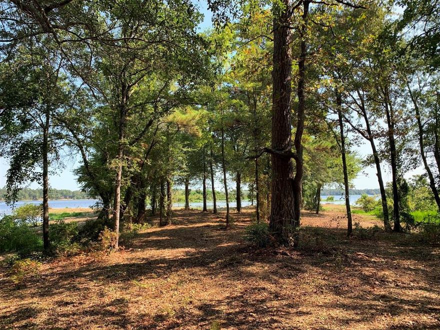 Nature lovers, this neighborhood is for you!! Bargain hunters---this lot is now available at an extremely affordable price!!Legacy Shores is a wonderful, secluded getaway on Flat Cove in beautiful East Texas. A new, private, gated subdivision on Lake Palestine with only 91 home sites! This 1.63 acre lot with a towering mix of hardwood and pines, is a haven for wildlife as it slopes gently towards the water with access to additional land below the 355' elevation line on a peninsula shared exclusively by two other lots for private boat house construction. Unheard of privacy for a lake lot with expansive room for your custom home. This part of Lake Palestine is well known for fishing, canoeing, kayaking or just enjoying the abundance of nature and waterfowl seen in every direction. Close to Chandler, Tyler or Frankston and only 1.5 hours from Dallas.
