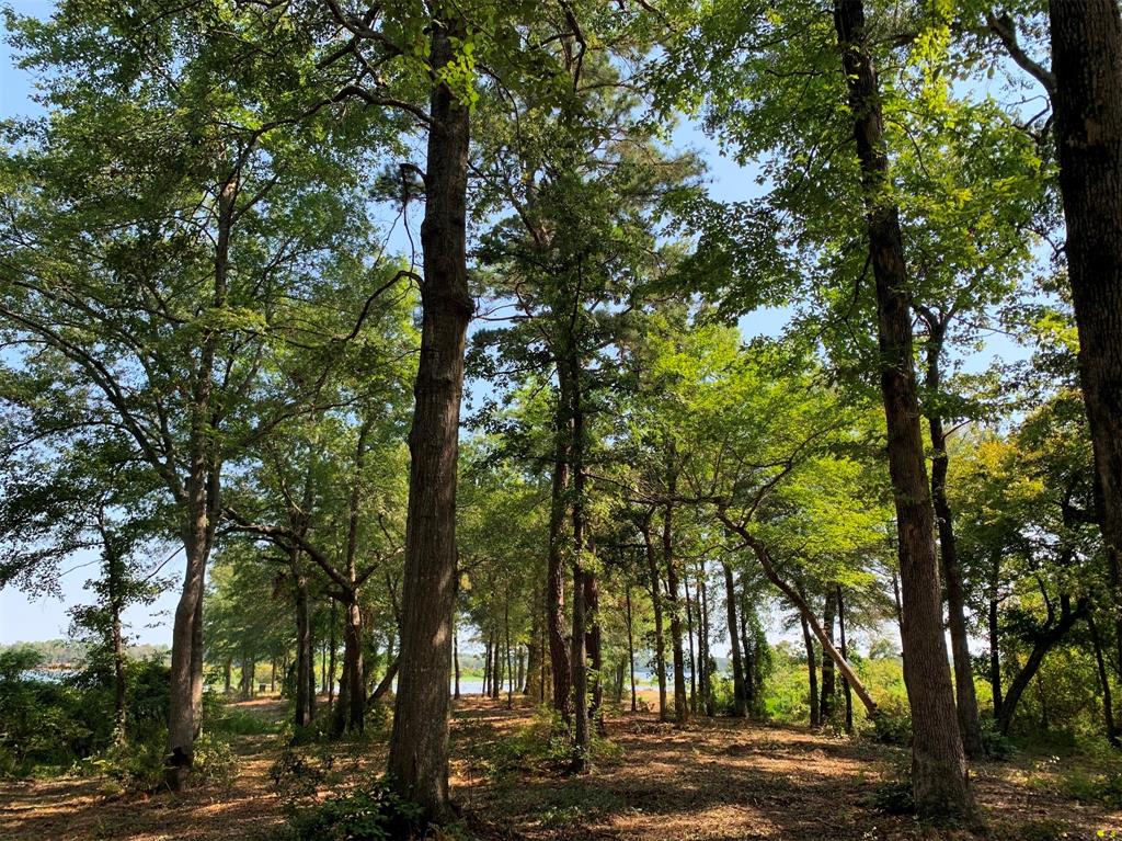 Legacy Shores - Land