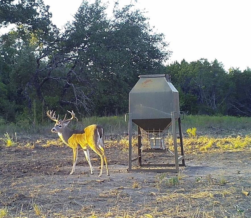 TBD Fm-2481 Lot 9