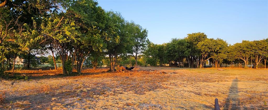 John Blundell Surv Abs #104 - Land