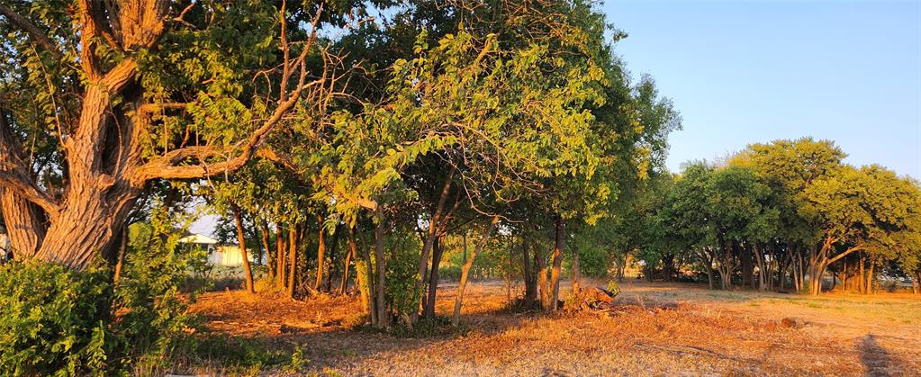 John Blundell Surv Abs #104 - Land