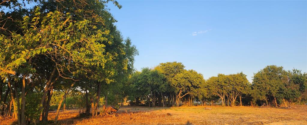 John Blundell Surv Abs #104 - Land