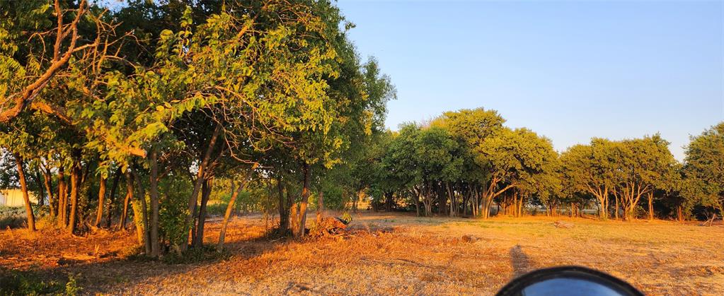 John Blundell Surv Abs #104 - Land