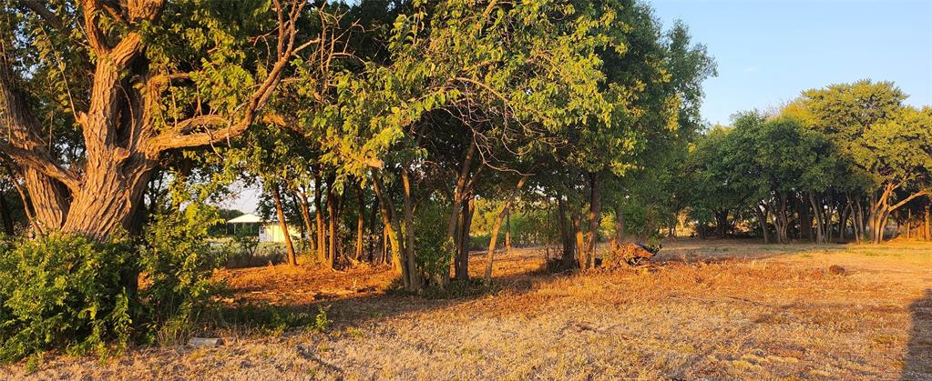 John Blundell Surv Abs #104 - Land