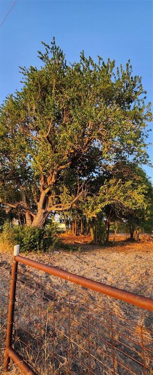 John Blundell Surv Abs #104 - Land