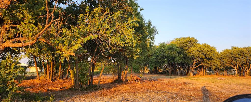 John Blundell Surv Abs #104 - Land