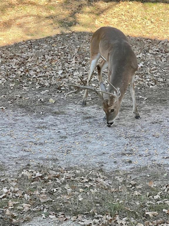 Crazy Horse Ranchos - Residential