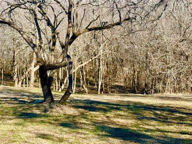 Lake Ridge Sec 10-1-B - Land