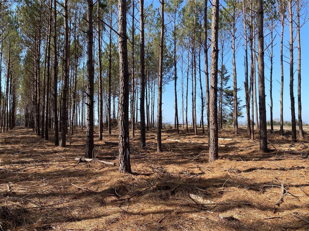 tbd SEE SURVEY FM 250