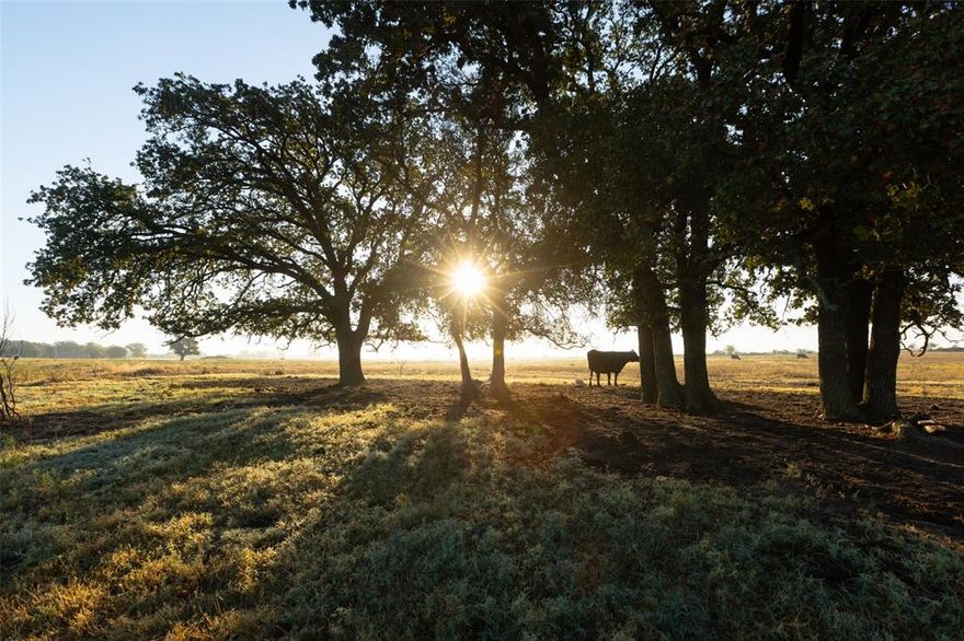 Rare 45+ or - Acre Tract Between Tolar & Granbury – Granbury ISD

Looking for the perfect blend of country living and convenience? This unrestricted 45+or - acre property offers open pastures, scattered trees, and a stock tank – ideal for a ranch, homesite, or recreational retreat. Centrally located between Tolar and Granbury with easy access to Hwy 51, it provides the tranquility of rural life without sacrificing access to town amenities. Located in Granbury ISD, this property is a rare opportunity to build your dream estate or invest in Texas land.