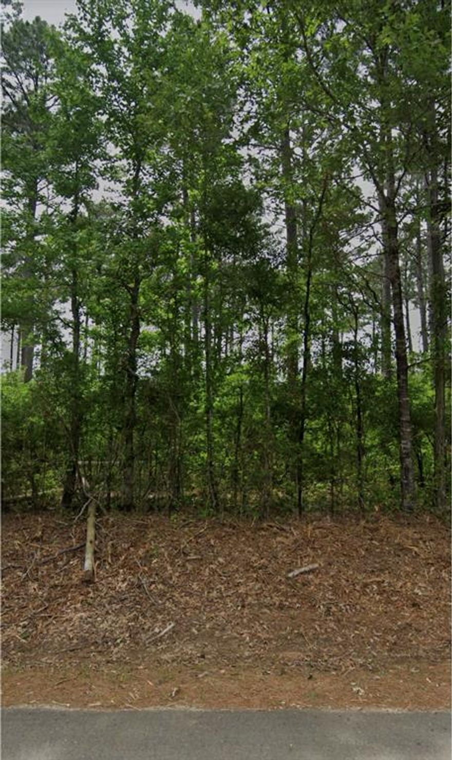 Lot 2 in Bodcau Dam Subdivision is a beautiful 10-acre tract located in the coveted Benton community and zoned for the highly sought-after Benton School District. This gorgeous property is situated in the desirable Bodcau Dam Subdivision and offers an excellent opportunity to build your dream home in a peaceful, spacious, and private setting. Electricity is available. Buyer to install a private water well and septic system. Minimum 1,500 square foot home required. No mobile homes allowed. There are reasonable restrictions in place to preserve property values while still allowing homeowners the freedom to enjoy their land!