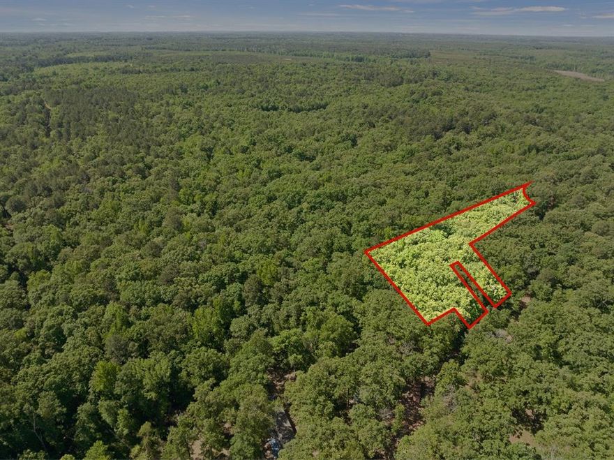 10.399 Wooded acres across the road from Sulphur River. Easy access to Type I and Type II government land for hunting and fishing. This would be a perfect spot for camping or future cabin location. Call agent for more info.