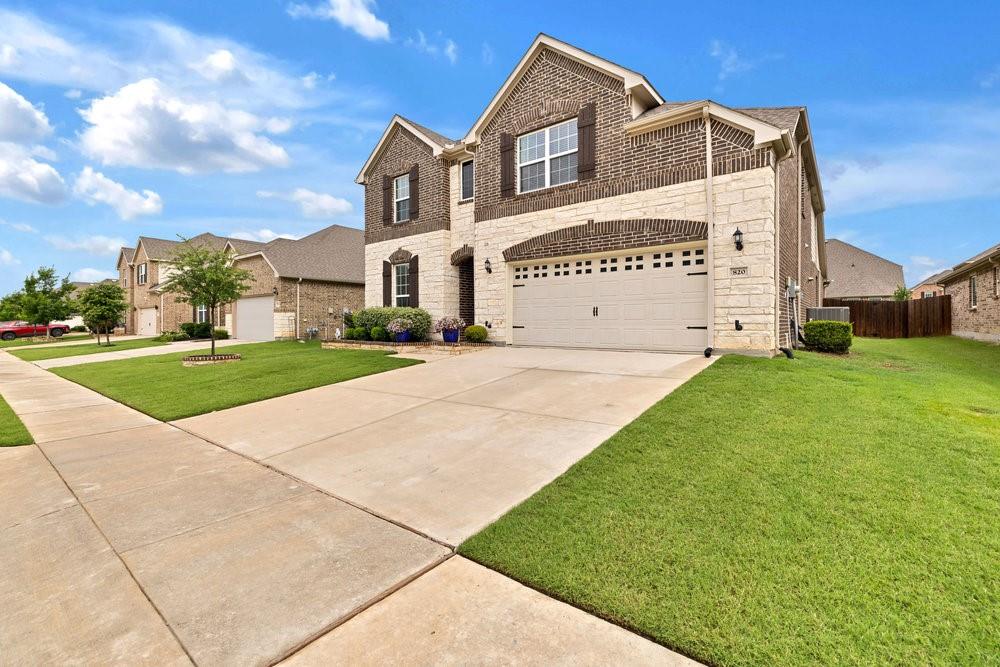 820 Basket Willow